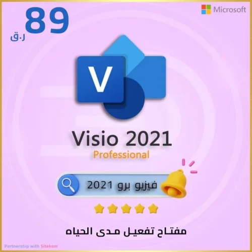 Visio Pro 2021